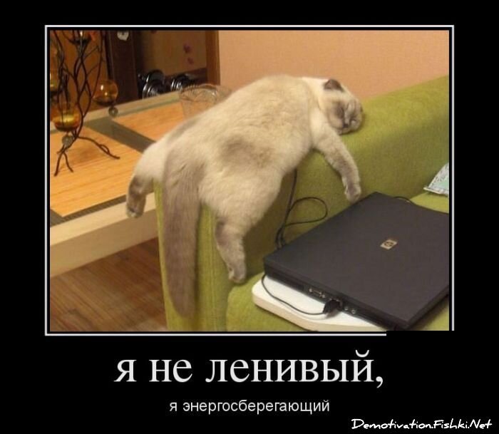 Смешной демотиватор от zubrilov за 25.05.2012 №113797