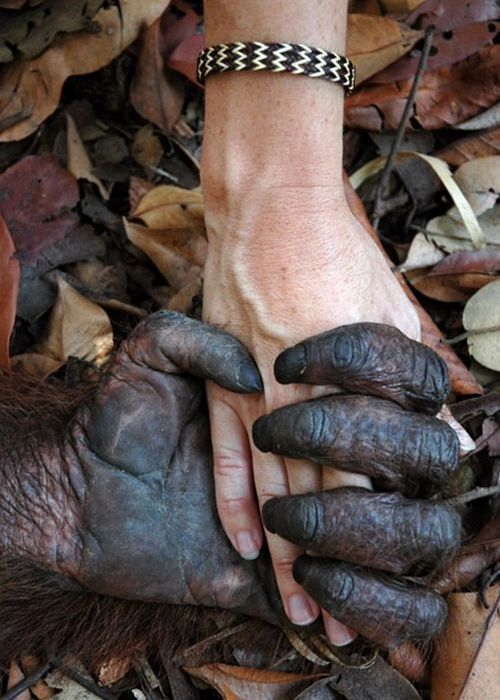 Крутые фотки