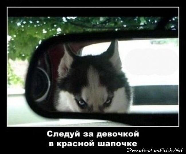 Смешной демотиватор от zubrilov за 30.05.2012 №114088