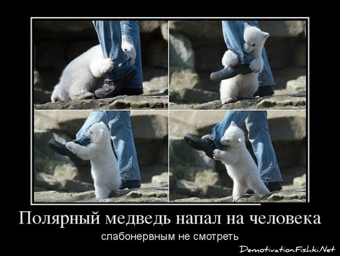 Смешной демотиватор от zubrilov за 30.05.2012 №114113