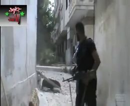 Подборка роликов