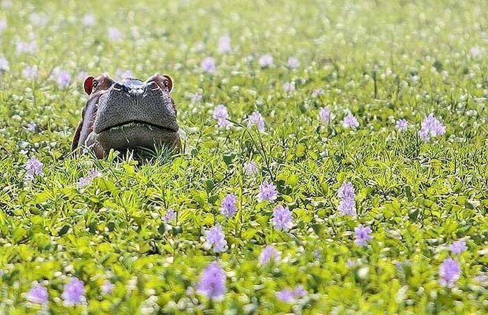 Прикол картинка