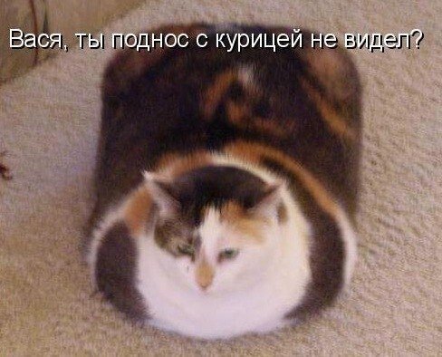 Смешные картинки