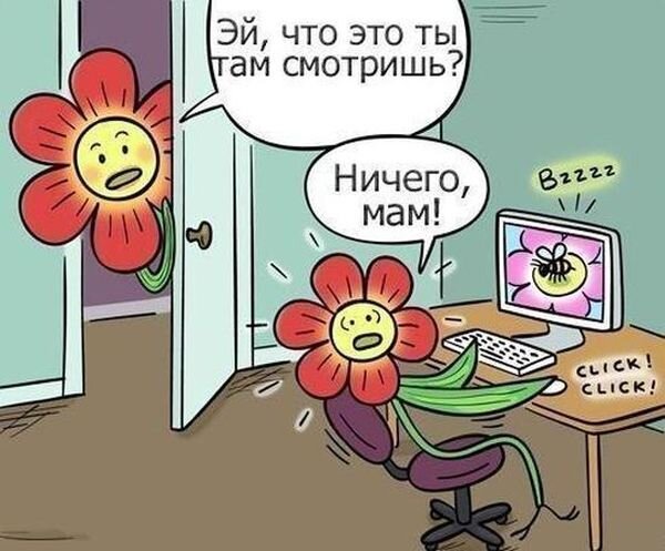 Фотоприкол бесплатно