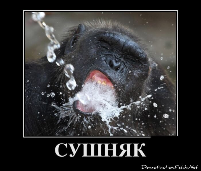 Смешной демотиватор от zubrilov за 06.06.2012 №114797