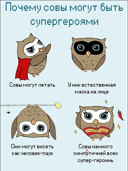 Прекрасные фото