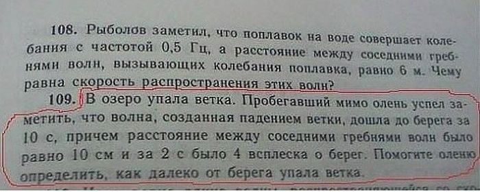 Фотоприкол недели
