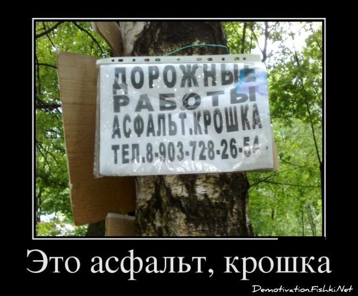 Смешной демотиватор от zubrilov за 08.06.2012 №115731