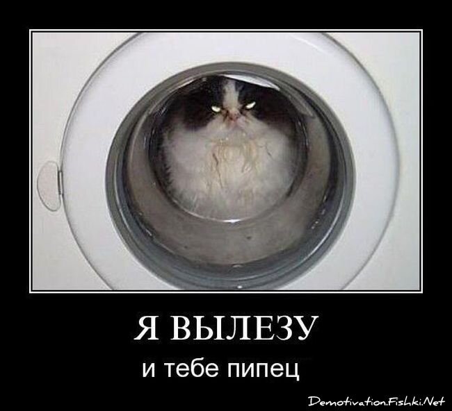 Смешной демотиватор от zubrilov за 08.06.2012 №115764