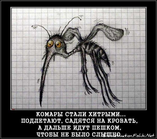 Смешной демотиватор от zubrilov за 08.06.2012 №115770