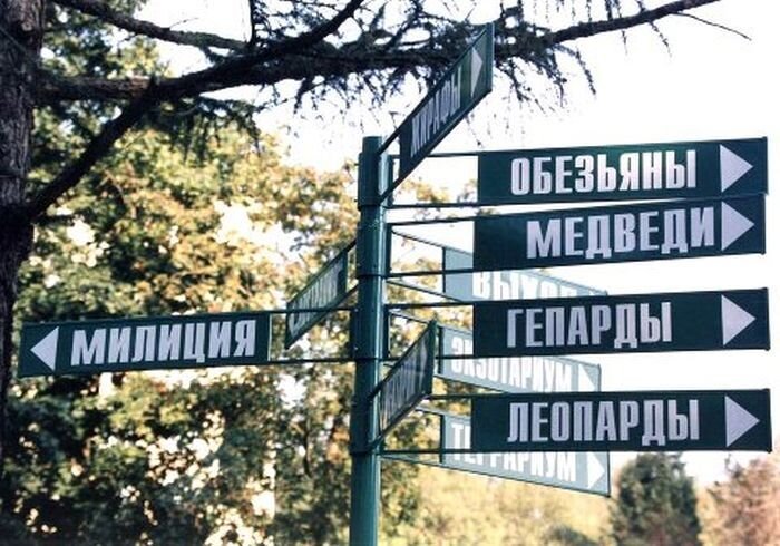 Фотоприкол недели