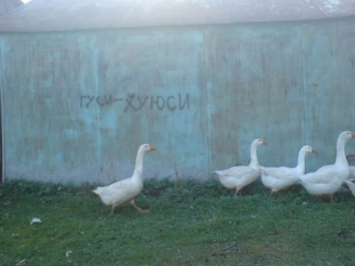 Прикол