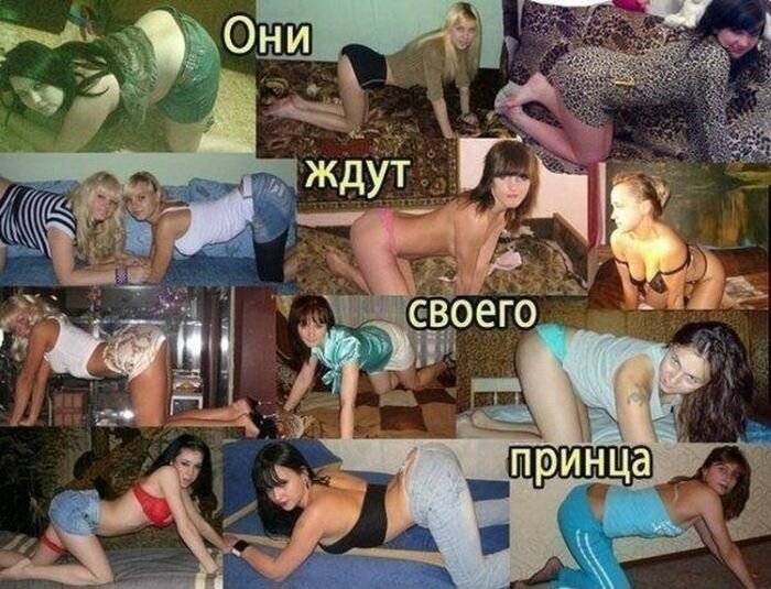 Шикарное фото