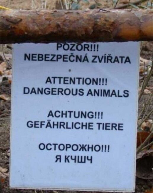 Фотоприкол онлайн