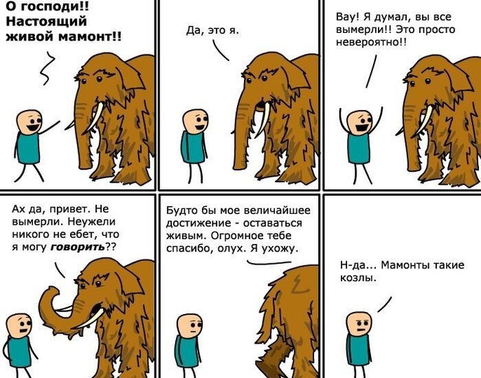 Фотоприкол дня