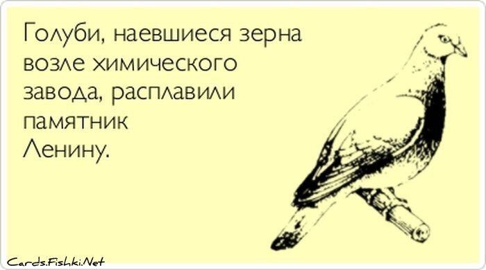 Прикольные открытки, часть 116177