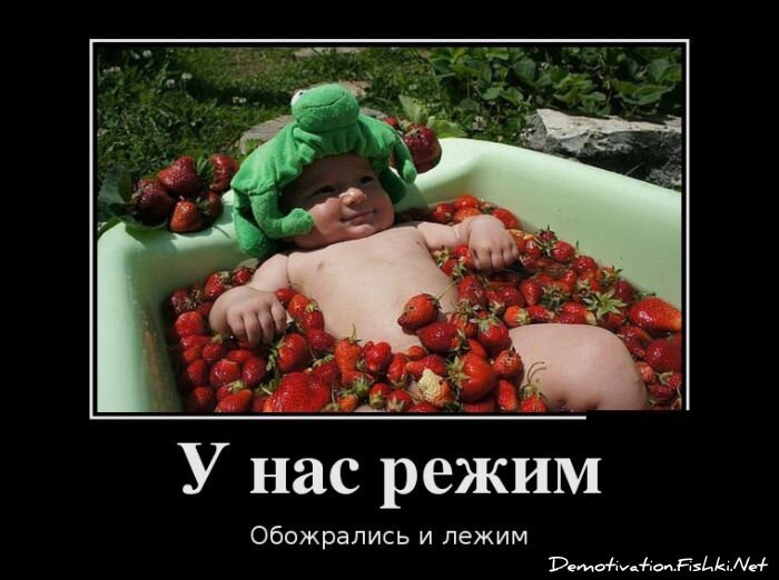 Смешной демотиватор от zubrilov за 20.06.2012 №116319