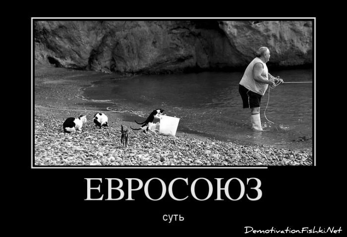 Смешной демотиватор от zubrilov за 20.06.2012 №116325