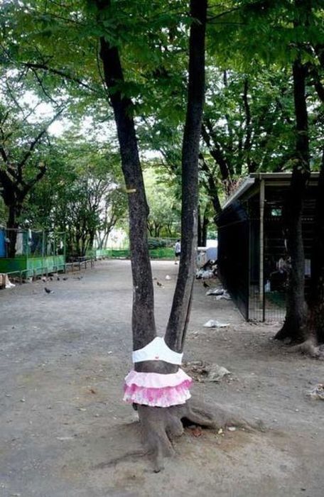 Фотоприкол онлайн бесплатно