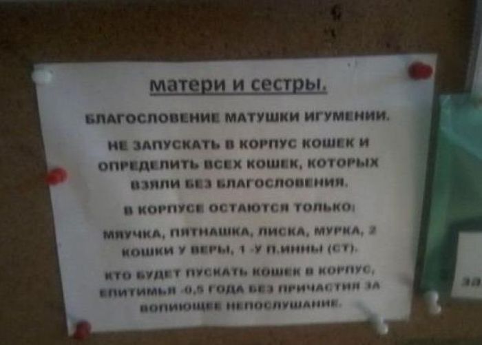 Прикольные фото и картинки от zubrilov за 20.06.2012 №116428