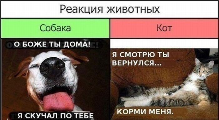 Улетное фото