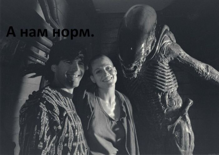 Фото прикол