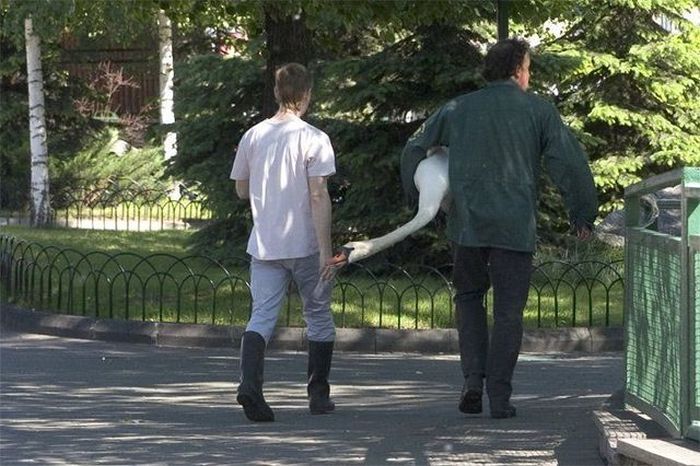 Прикол