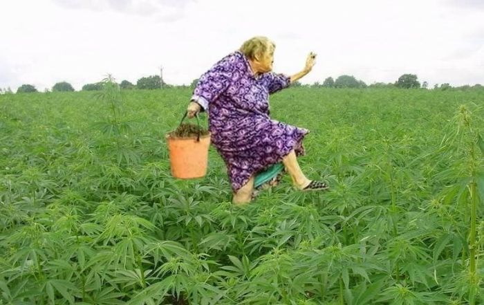 Фотоприкол