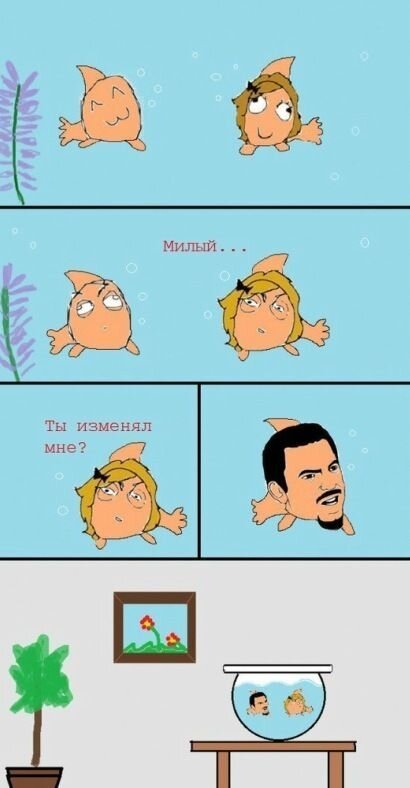 Фотоприкол недели