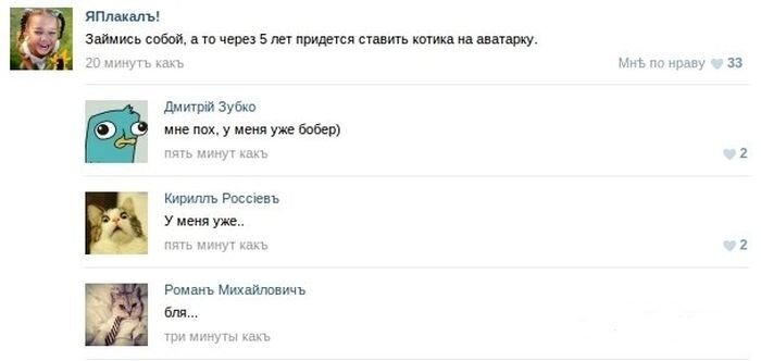 Фотоподборка