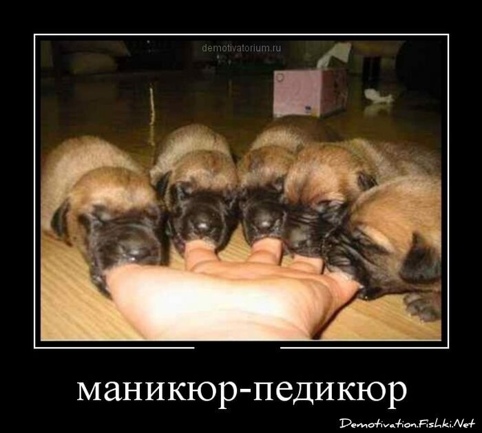 Демотиватор