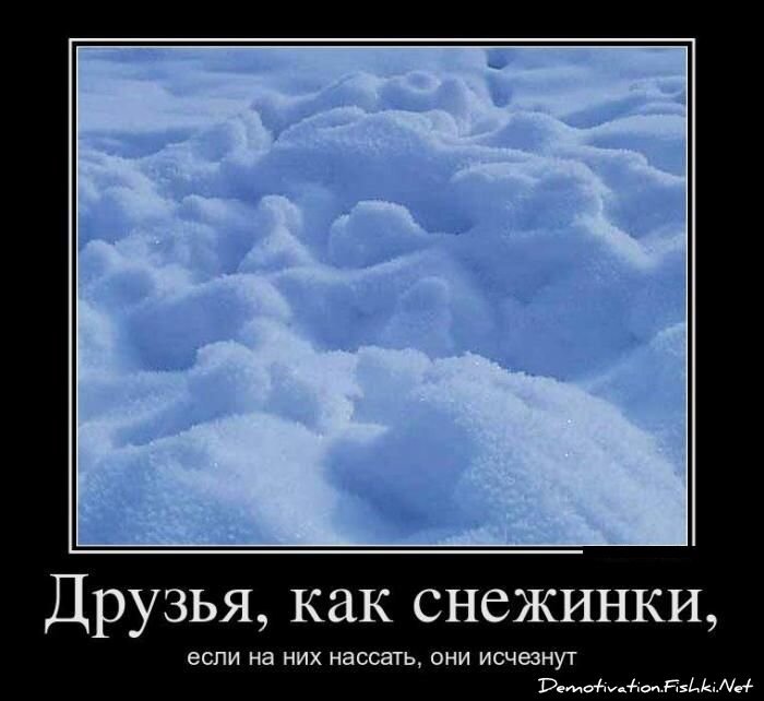 Смешной демотиватор от zubrilov за 22.06.2012 №116921