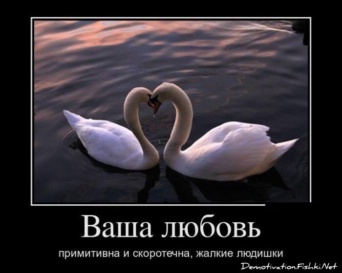 Демотиватор