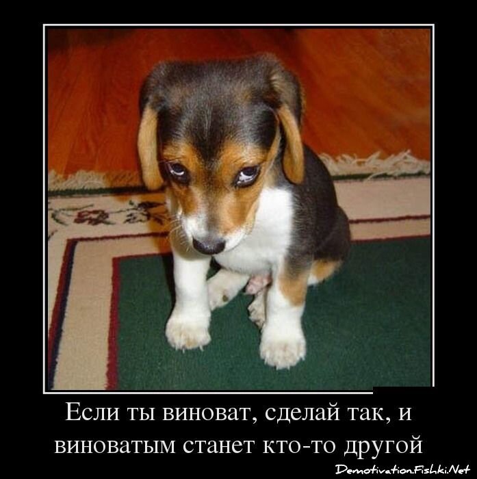 Смешной демотиватор от zubrilov за 25.06.2012 №117088