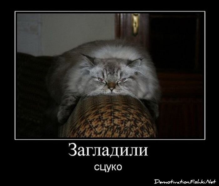 Смешной демотиватор от zubrilov за 25.06.2012 №117097