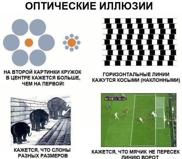 Фанни фото