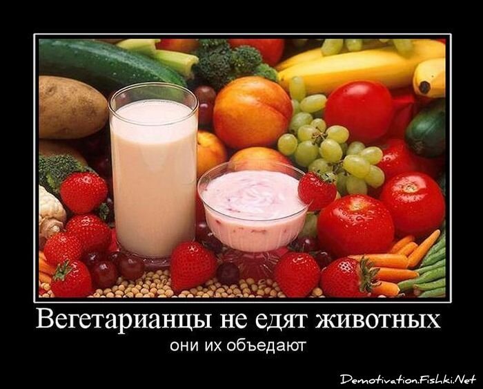 Смешной демотиватор от zubrilov за 27.06.2012 №117753