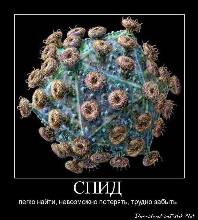 Смешной демотиватор от zubrilov за 27.06.2012 №117756