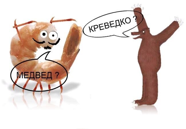 Йа креведко продолжает шагать по рунету (5 фото)