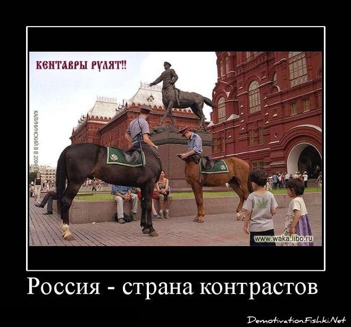 Смешной демотиватор от zubrilov за 29.06.2012 №118330