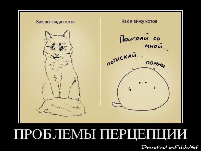 Смешной демотиватор от zubrilov за 20.04.2012 №118699