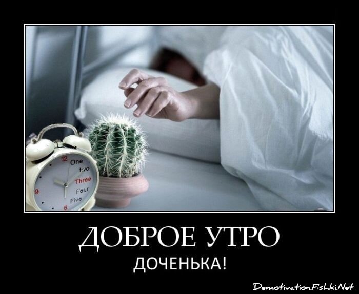 Смешной демотиватор от zubrilov за 20.04.2012 №118710