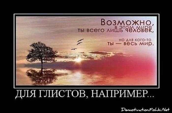 Демотиватор