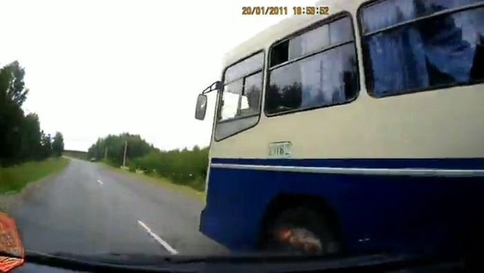 Видео дня