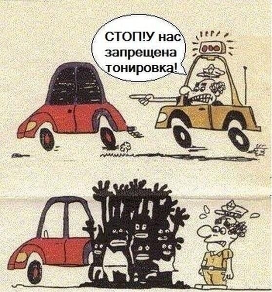 Свежий фотоприкол