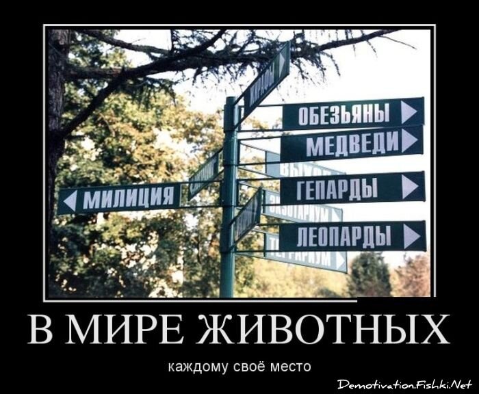 Смешной демотиватор от zubrilov за 04.07.2012 №119127