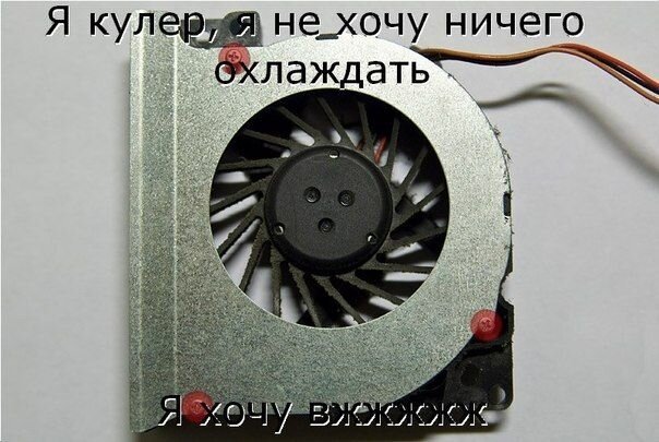 Фотоприкол дня