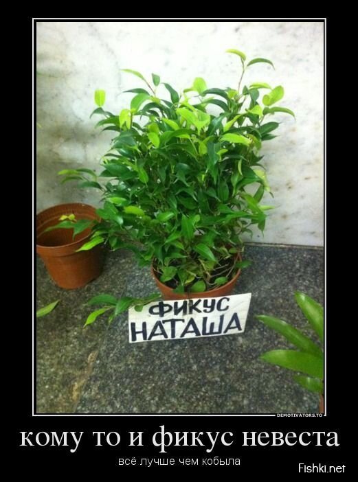 Демотиваторы, часть 417.