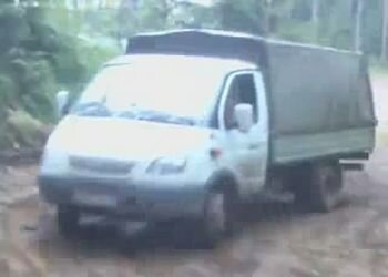 Газель прикололась