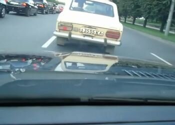 Диагноз - дачник!